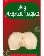 Big Artificial Vagina